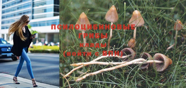 экстази Баксан