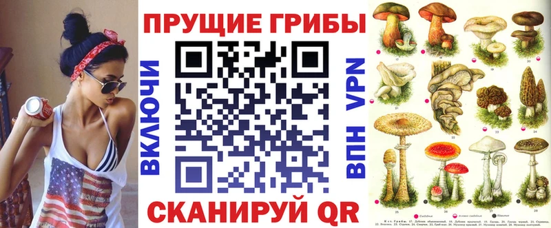 ОМГ ОМГ вход  Борисоглебск  Псилоцибиновые грибы GOLDEN TEACHER  сколько стоит 
