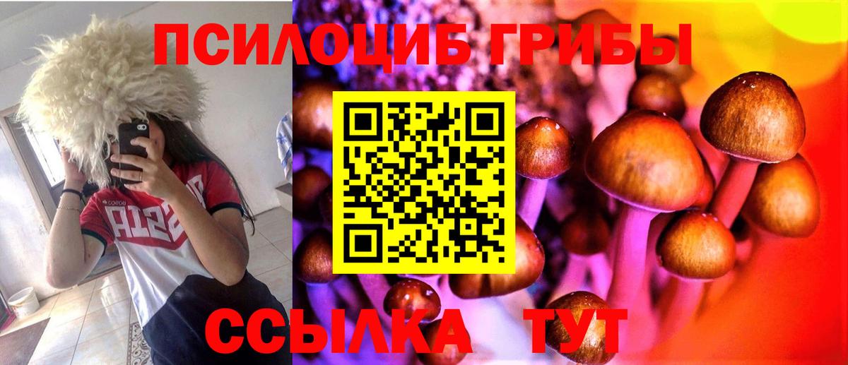 Псилоцибиновые грибы ЛСД Борисоглебск